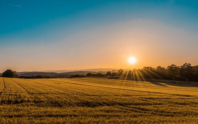 Feststimmung in der Rattenberger Landschaft